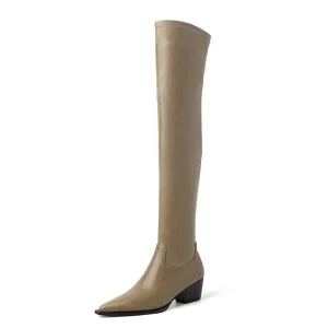 ElegantLeather Over-Knee Pointed Toe Heel Boots