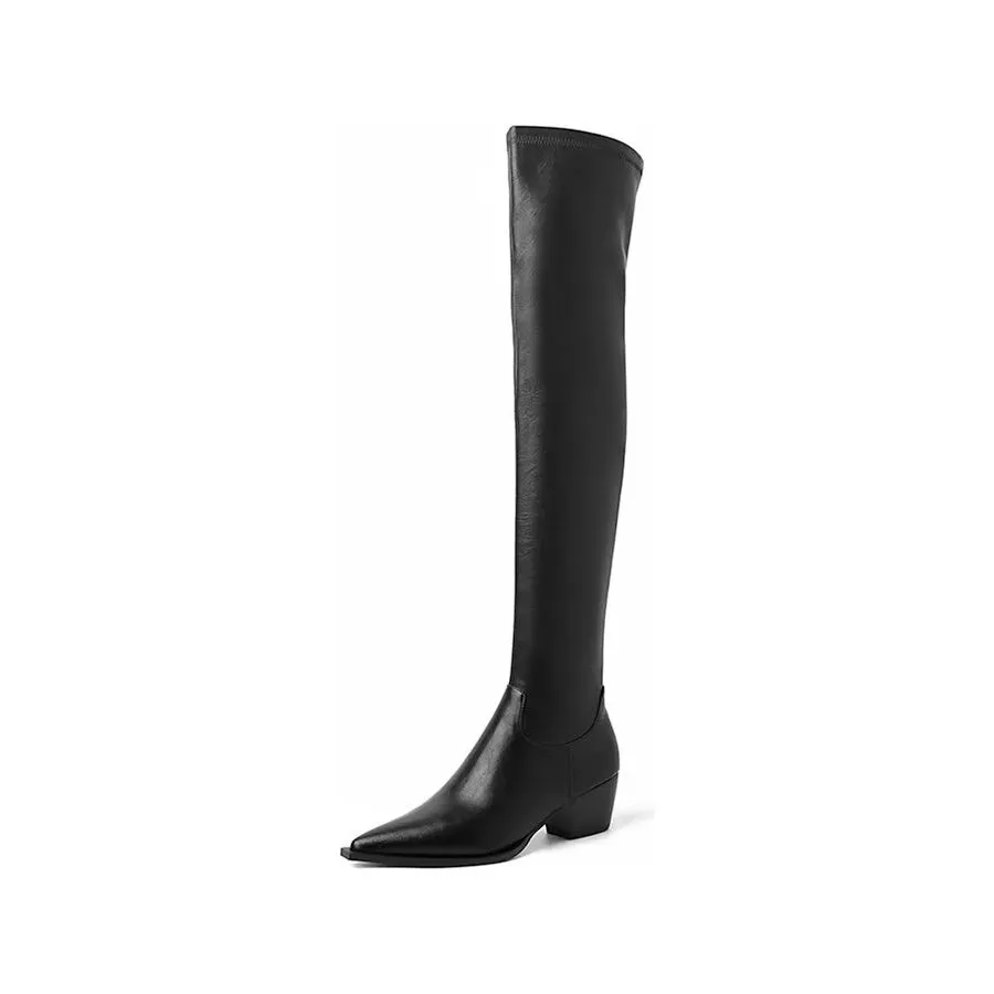 ElegantLeather Over-Knee Pointed Toe Heel Boots