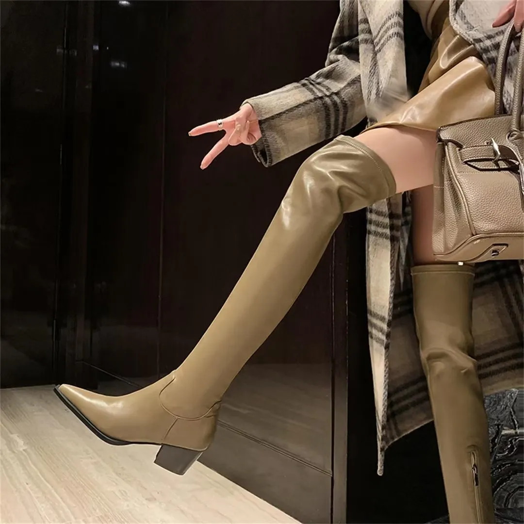 ElegantLeather Over-Knee Pointed Toe Heel Boots