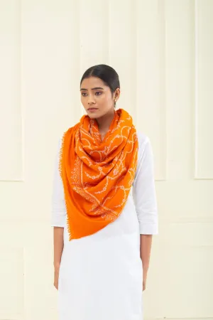 Elliana Bright Orange Vine Jaali Sozni embroidered Pashmina Stole