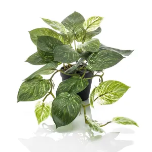 Emerald Artificial Scindapsus Bush 55 cm in Pot