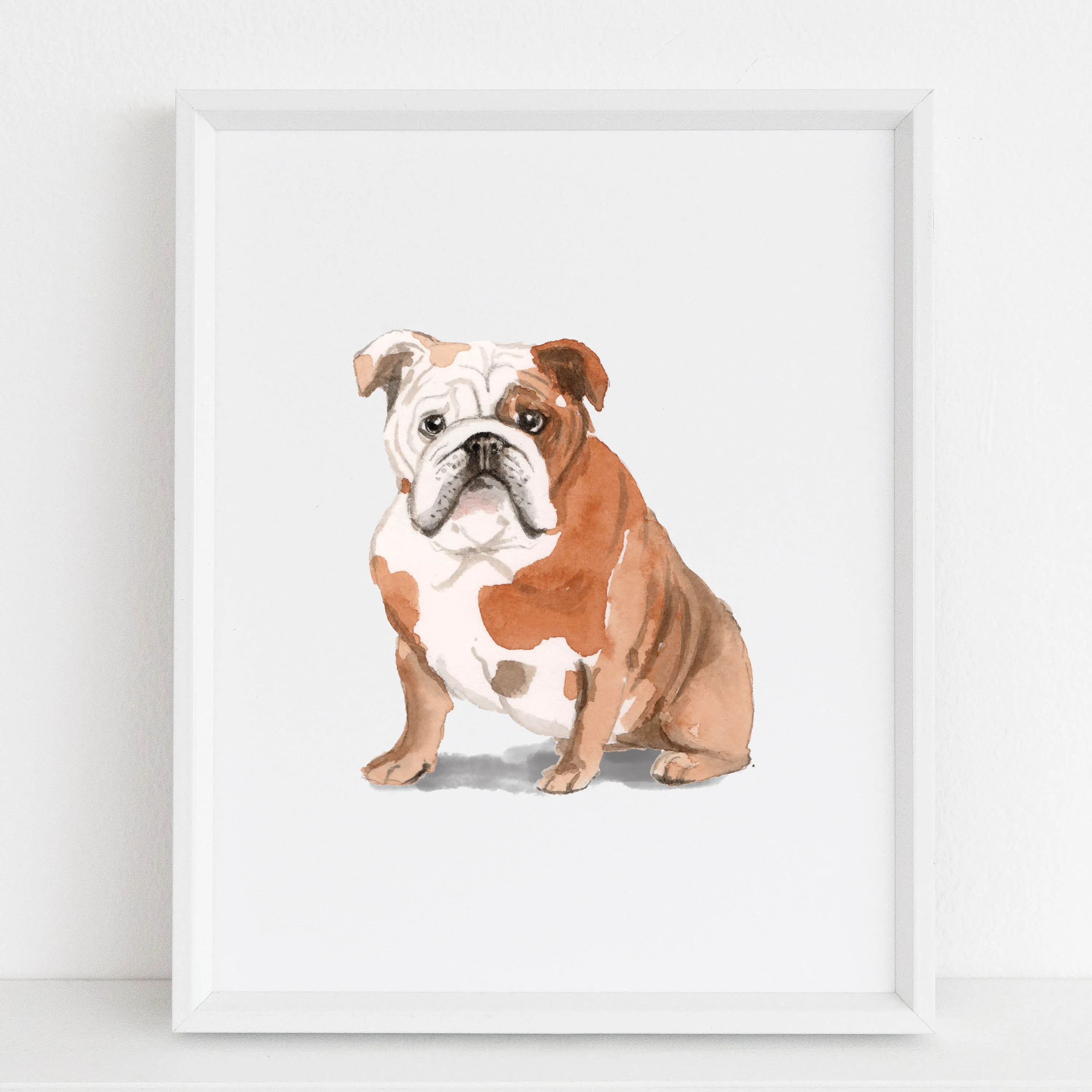 English Bulldog