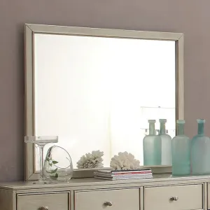 Enid Mirror