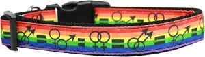 Equality Nylon Dog Collar Xl