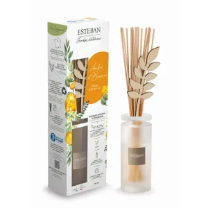 Esteban Bouquet con perfume 100ml Ambre et Baumes