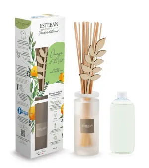 Esteban Bouquet con perfume 100ml Orange et thé vert