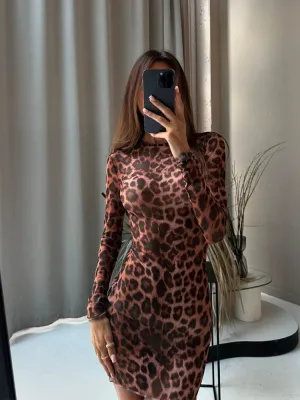 Eveline Leopard Print Long Sleeve Dress