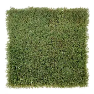 Evergreen Moss Olive Green