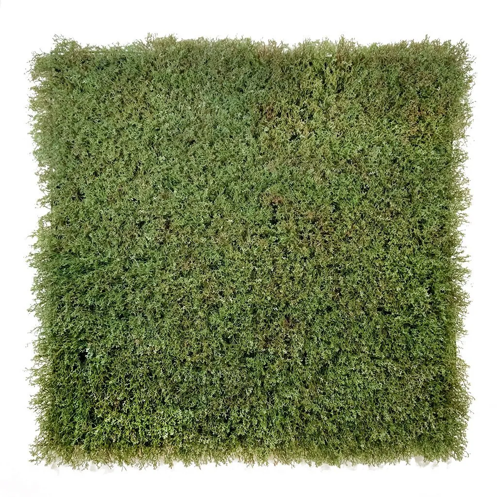 Evergreen Moss Olive Green