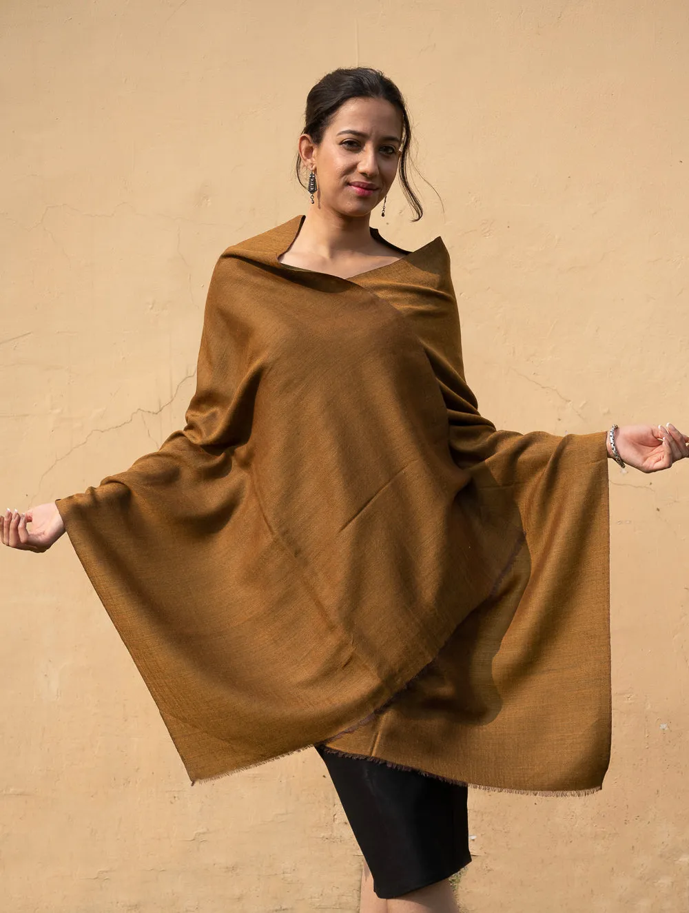 Exclusive Reversible Soft Kashmiri Wool Stole - Pale Brown & Green