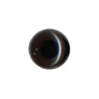 Eye, Dark Brown 7mm