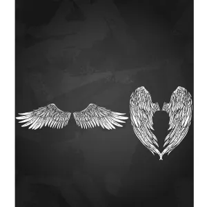 Falcon & Angel Wings Printed Backdrop