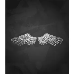 Falcon Wings Printed Backdrop