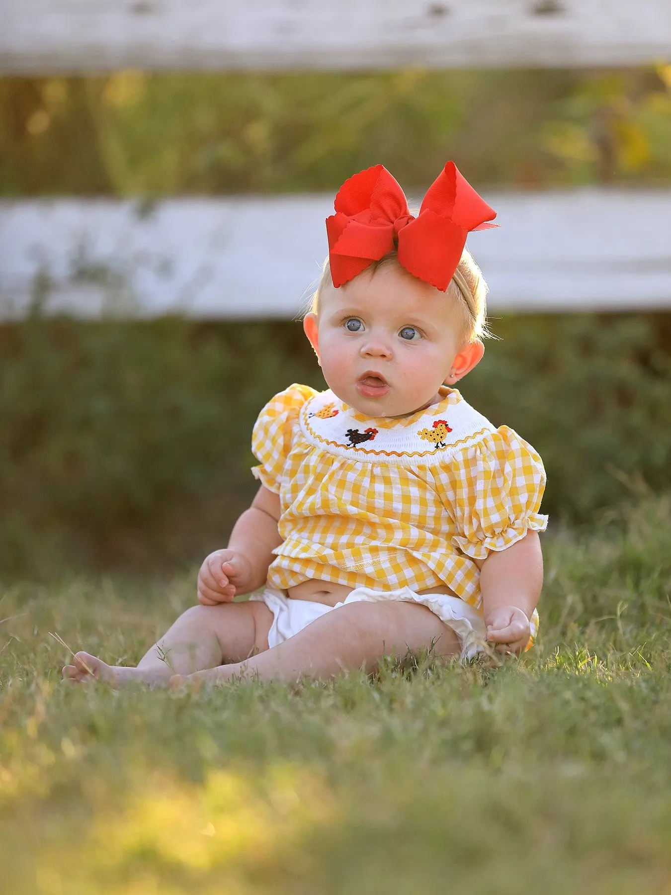 Farm Turkey Smocking Embroidered Girls Outfits