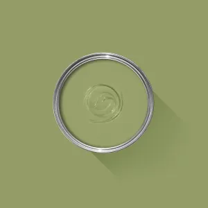 Farrow & Ball Olive No. 13 - Archive Collection