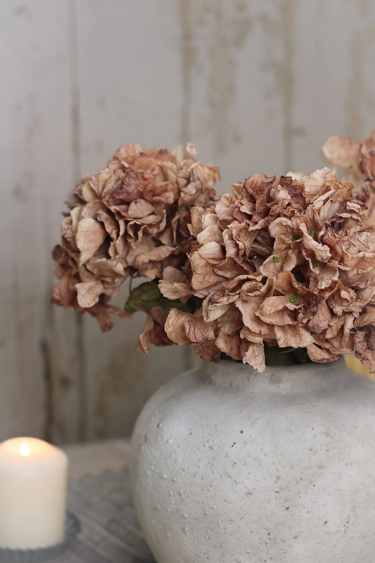 Faux Cappuccino Dried Ruffle Hydrangea