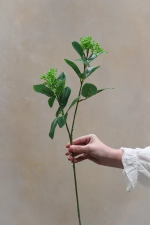 Faux Green Skimmia Stem