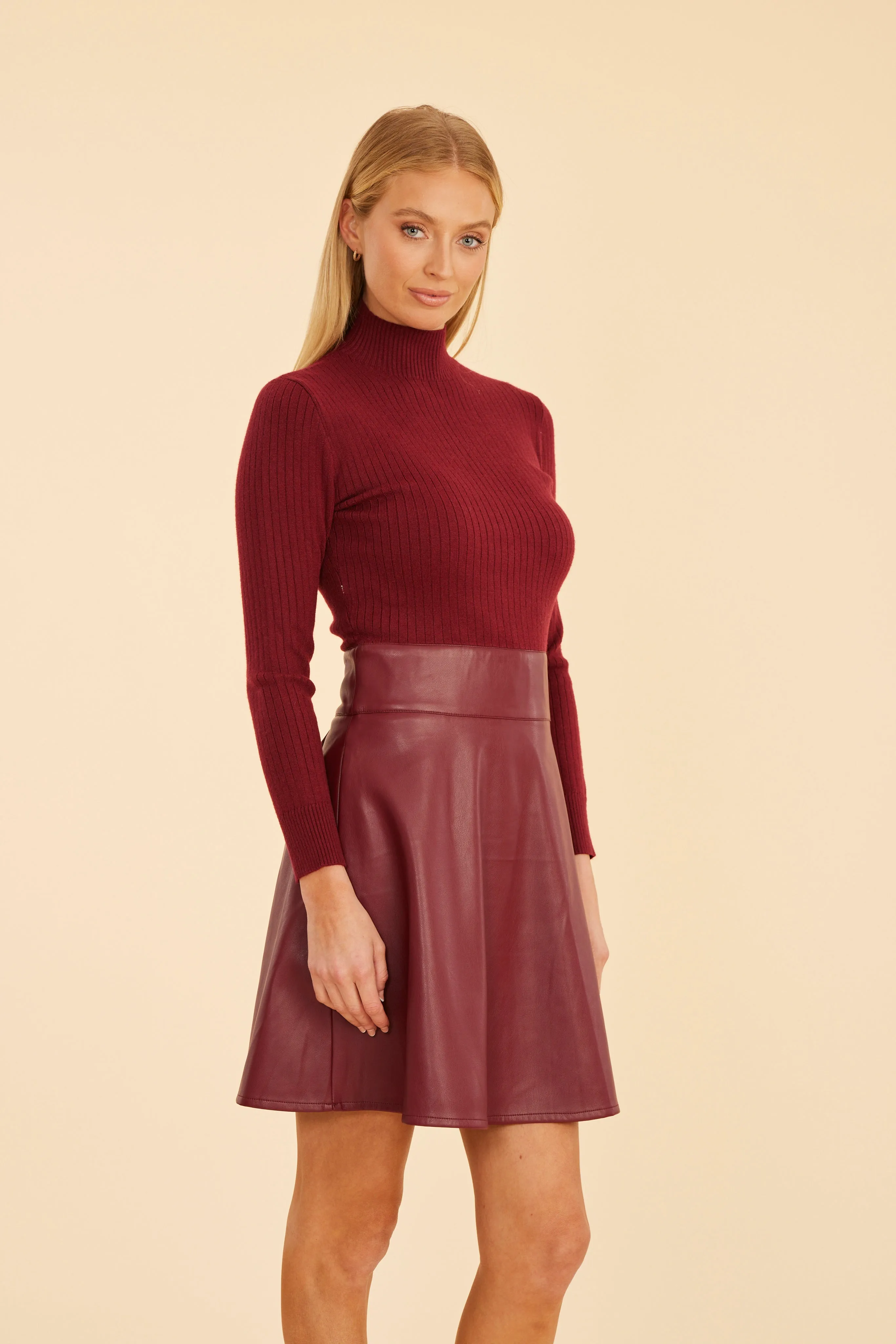 Faux Leather & Knit Turtleneck Dress