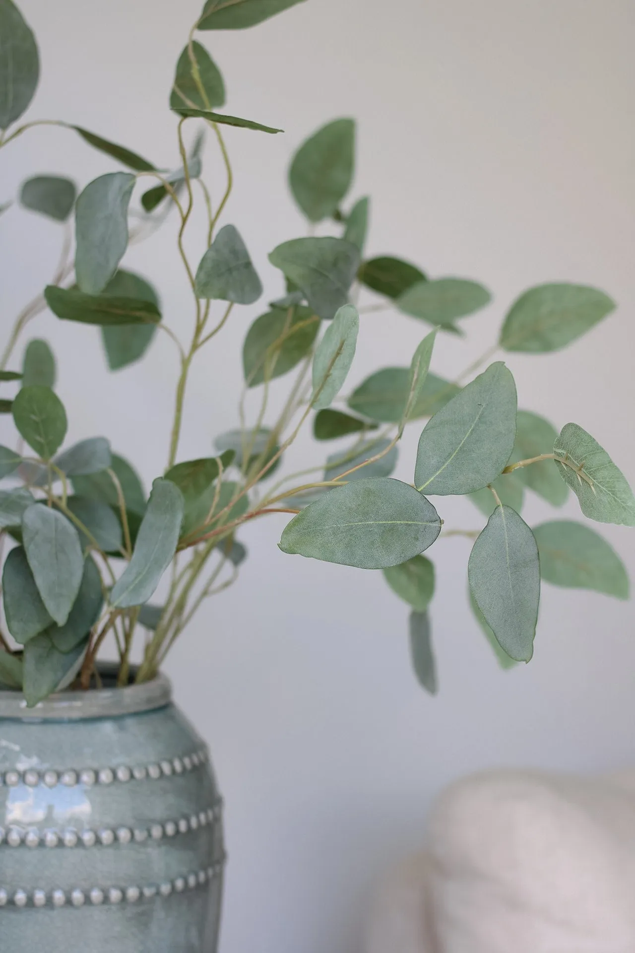 Faux Silver Dollar Eucalyptus Stem