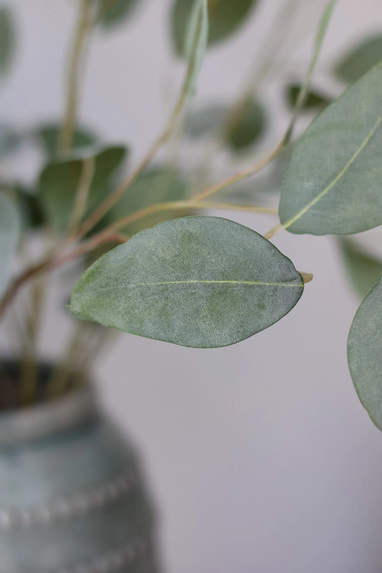 Faux Silver Dollar Eucalyptus Stem