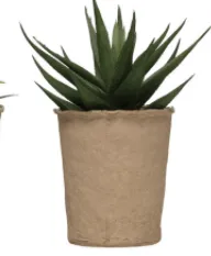 Faux Succulents - 6 styles