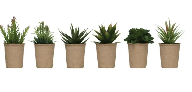 Faux Succulents - 6 styles