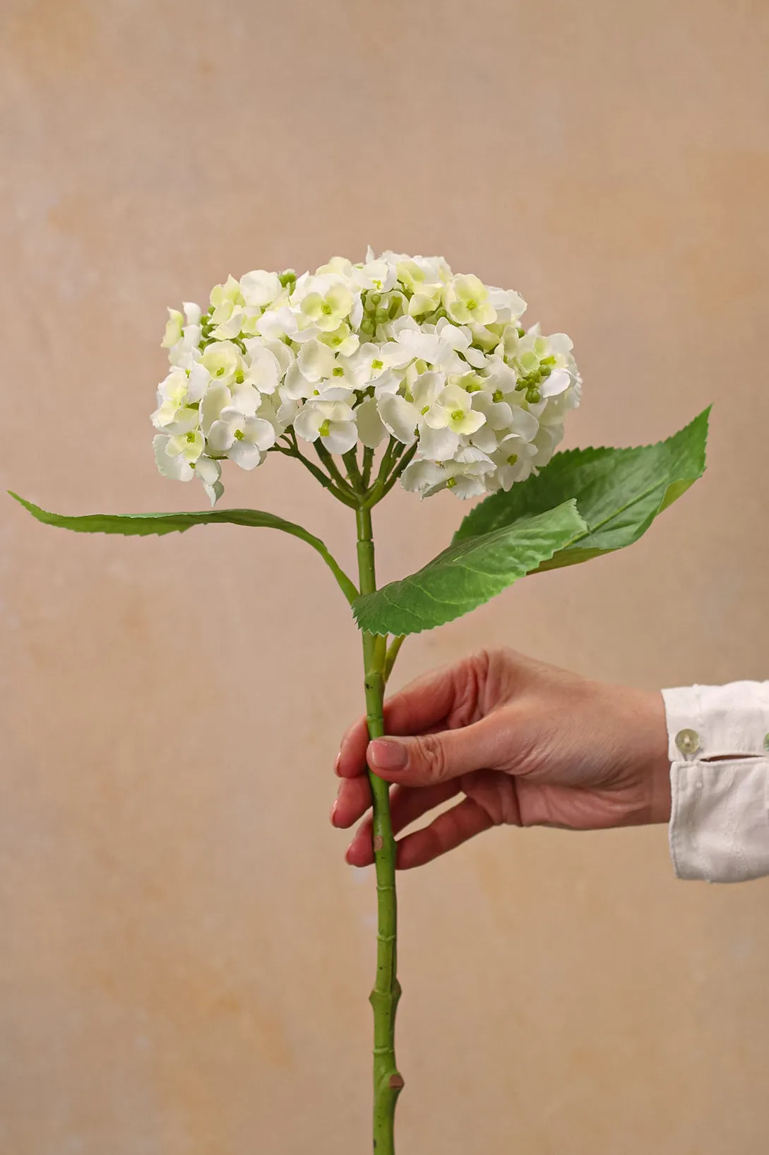 Faux White Lace Cap Hydrangea