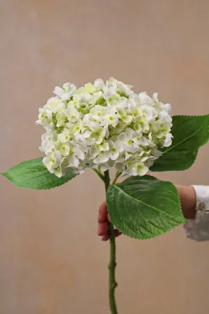 Faux White Lace Cap Hydrangea