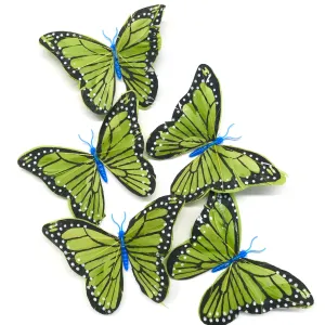 Feather Butterflies Style 5 x 5 Pack - Olive Green