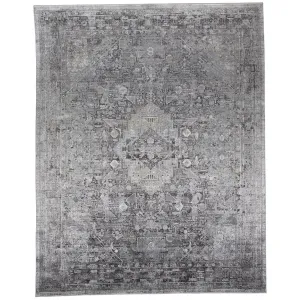 Feizy Rug Sarrant 3966F, Gray