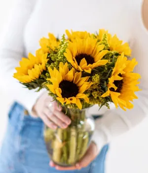 Fields of Sunflowers