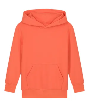 Fiesta - Kids Mini Cruiser 2.0 iconic hoodie sweatshirt (STSK180)