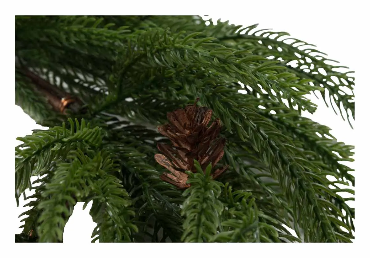 FIR WREATH