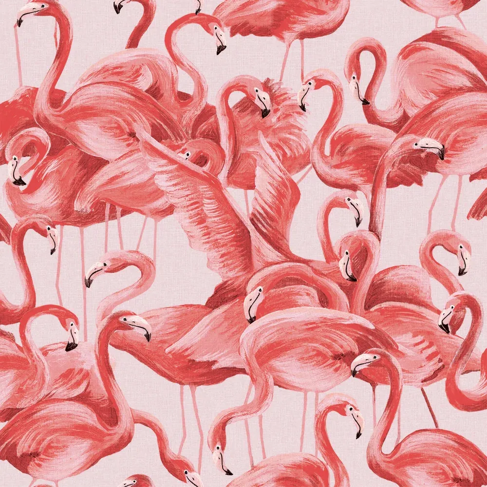 Flamingo Peel and Stick Wallpaper