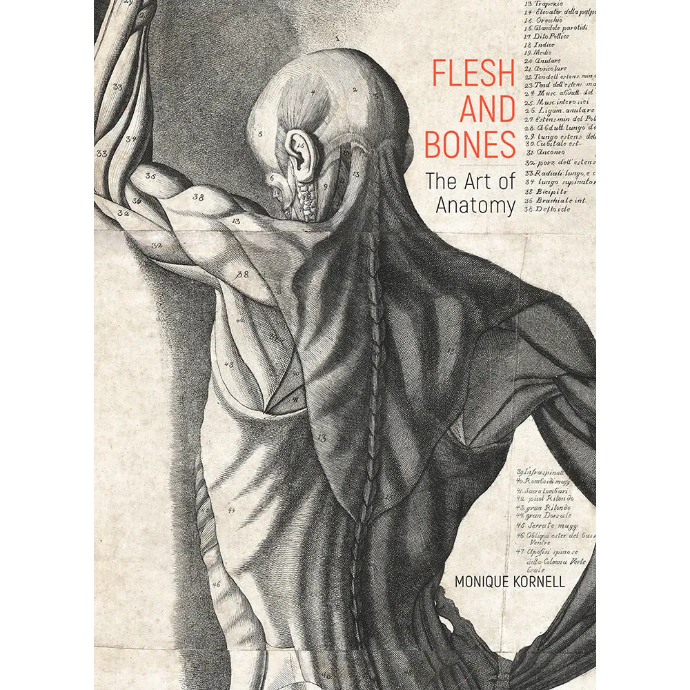 Flesh and Bones: The Art of Anatomy