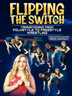 Flipping The Switch by Helen Maroulis