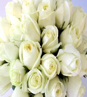 Flower Cube Bouquets - White Roses