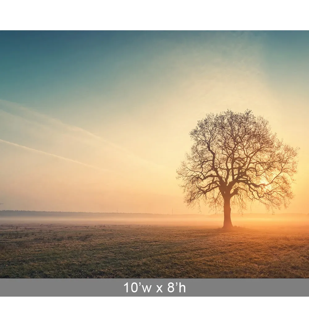 Foggy Sunrise Printed Backdrop