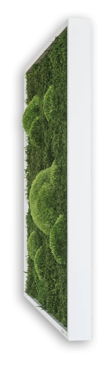 Forest Square Moss Wall Art (35cm)