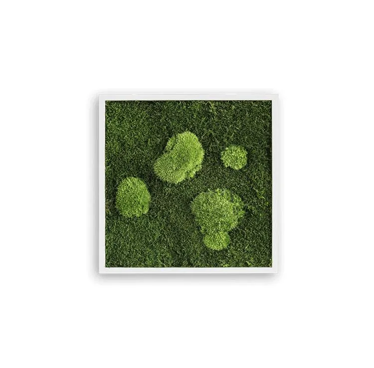 Forest Square Moss Wall Art (35cm)