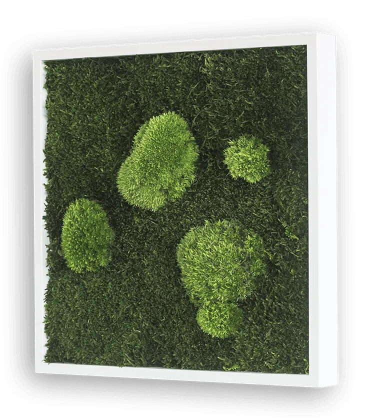 Forest Square Moss Wall Art (35cm)