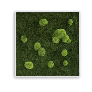 Forest Square Moss Wall Art (80cm)