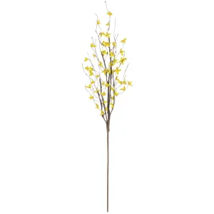 Forsythia Spray