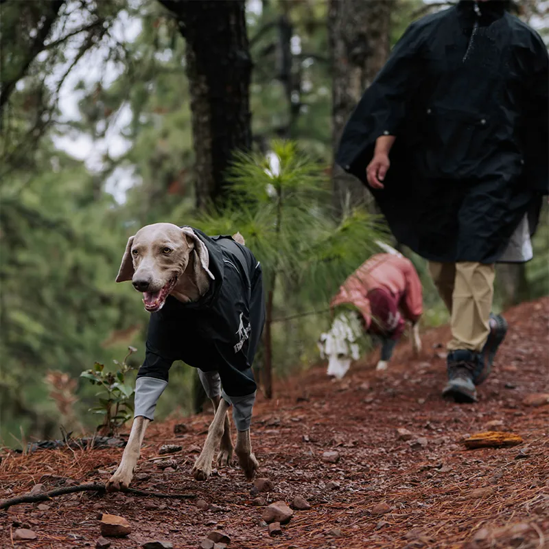 Four-Leg Hooded Dog Raincoat - Black