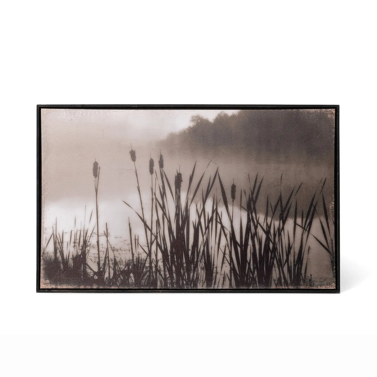 Framed Cattail Print