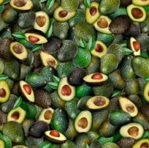 Fresh - Avocado