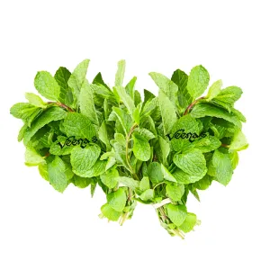 Fresh Mint/Pudina Leaves (Bunch of 2)