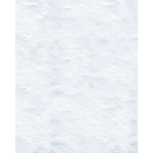 Fresh Snowfall Printed Backdrop