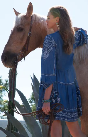 Gabriela Chambray Dress