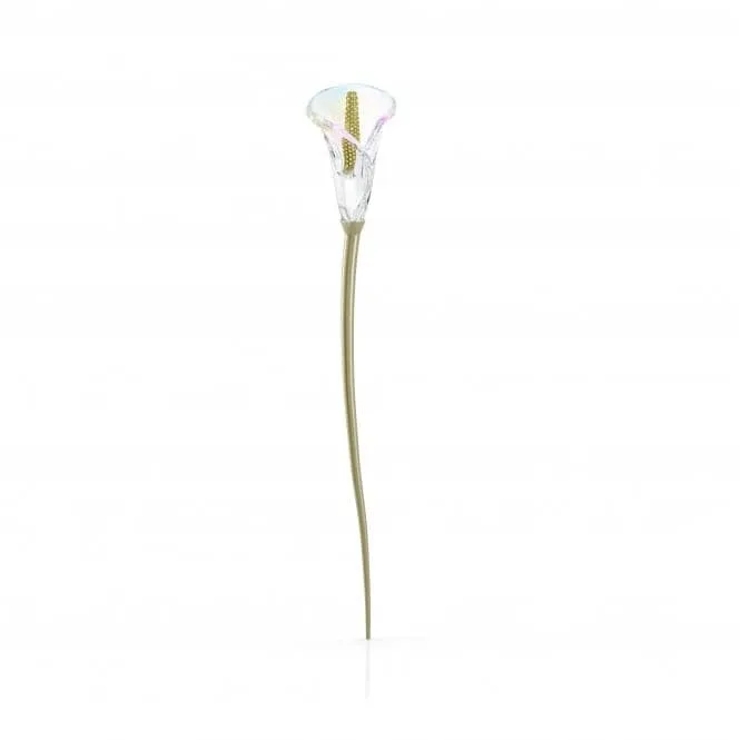 Garden Tales Calla Lily 5619229